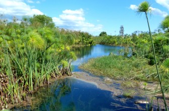 Fonte del Fiume Ciane