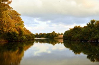 Riserva Naturale Fiume Ciane di Siracusa Riserva Naturale Fiume Ciane di Siracusa