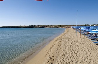 Arenella